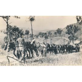 Horse Team, Ravenswood
