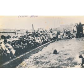 School Pool, Ravenswood