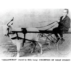 Yellowman, Champion of Goat Stakes, Raced by Billy Lang,