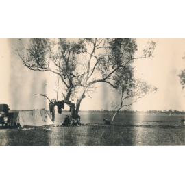 Camping in the Bush