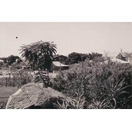 View from Cunningham residence, 45 Deane Street, 1960