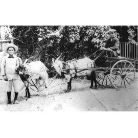 Two boys with Billy Goat Cart