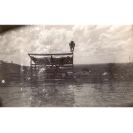 Man diving into pool, Replenishment Centre, Towers Hill 1940s