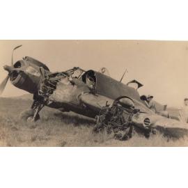 Man standing with a crashed plane in a field