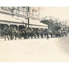 Team of Horses in front of Burns Philp & Co and Cummins & Campbell, Mosman st