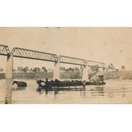 Horse team towing a car on a wagon across Burdekin River at Macrossan Rail Bridge