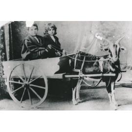 Powell brothers Norman and Bill in a goat cart