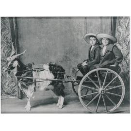 Powell brothers Norman and Bill in a goat cart