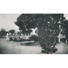 Cardigan Station gardens