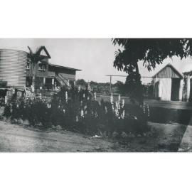 Cardigan Station homestead and gardens