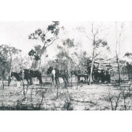 Bringing in a load of timber for a burn, Sandy Creek