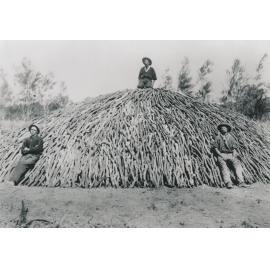 Charcoal kiln at Merinda