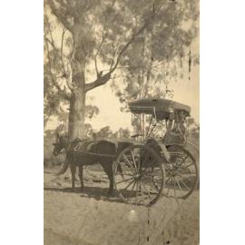 Horse and Buggy with canopy