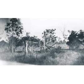 Ruin of a bush shack