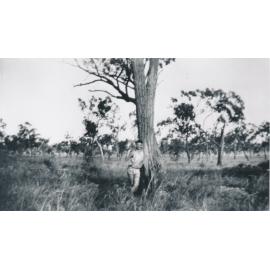 Man under ironbark tree on Dottswood