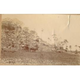 Lincoln Hill Charters Towers with buggy in front