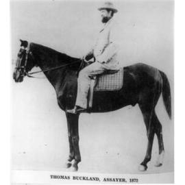 Thomas Buckland