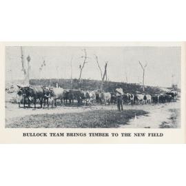 Bullock Team Brings Timber to the New Field