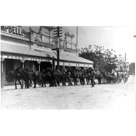 Horse Team Outside Burns Philp, Mosman Street