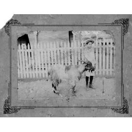 Justin De Castres, Aged Ten With His Goat