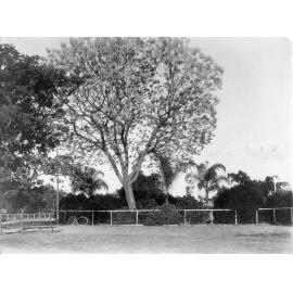 Lissner Park with Federation Fountain