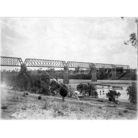 Herd of livestock being mustered across river bed below Burdekin River Rail Bridge