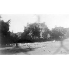 Lissner Park Wildlife enclosure