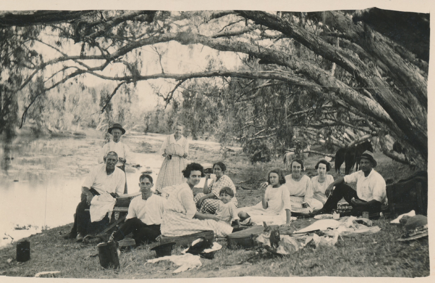 Family History